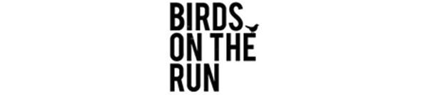 Birds on the run